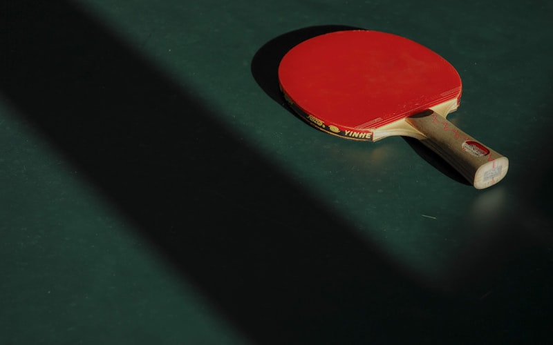 Masa Tenisi Turnuvası